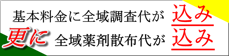 調査,薬剤散布代込み